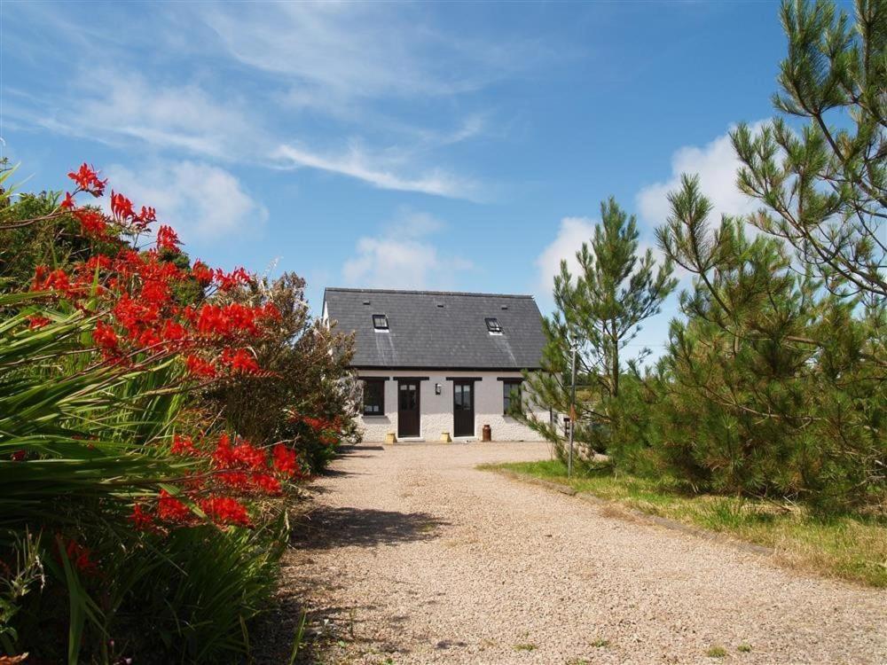 Cockshead Cottage Saint Dogmaels Экстерьер фото